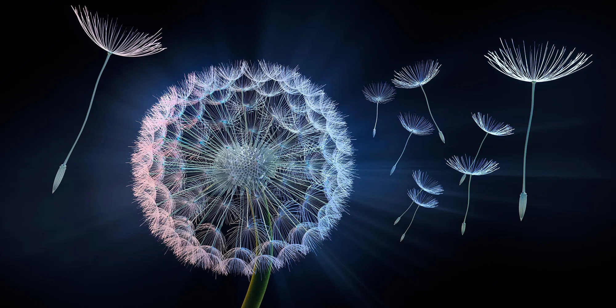 ITG Content Nachhaltigkeit